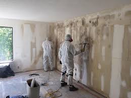 Best Emergency Mold Remediation  in Clksville, AR